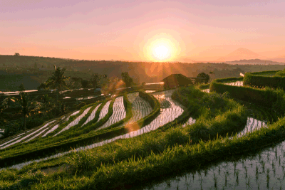 <strong>Jatiluwih Rice Terraces, Bali, Indonesia</strong>