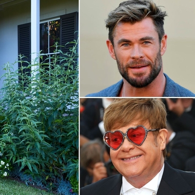 Woollahra mansion rented by Chris Hemsworth and Elton John sells for over $30 million