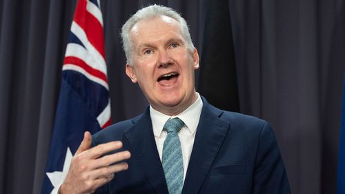 Industrial Relations Minister Tony Burke.