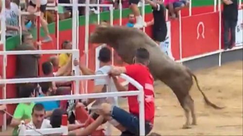 Nineteen people were injured when a bull jumped a barrier at a festival in Vidreres, Spain.