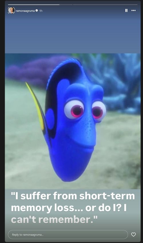 Un post sulla storia Instagram di Ramona Agruma-Wilson, moglie dell'attore australiano Rebel Wilson. L'immagine è stata presentata in tribunale.