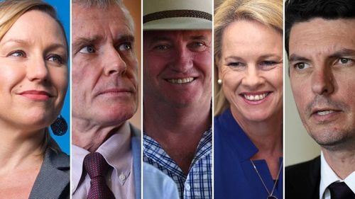 Deputy Prime Minister Barnaby Joyce and four other senators were disqualified last week.