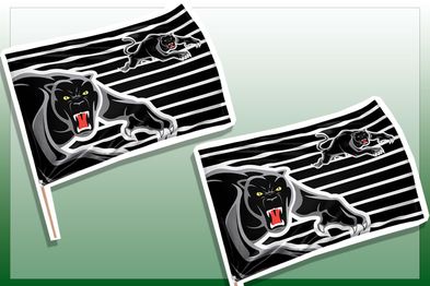 9PR: Penrith Panthers NRL Flag Banner