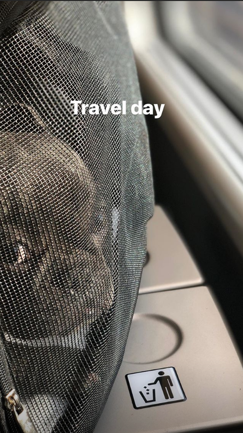 Patterson's Instagram account is chock full of pictures of gorgeous French bulldog Kobe.