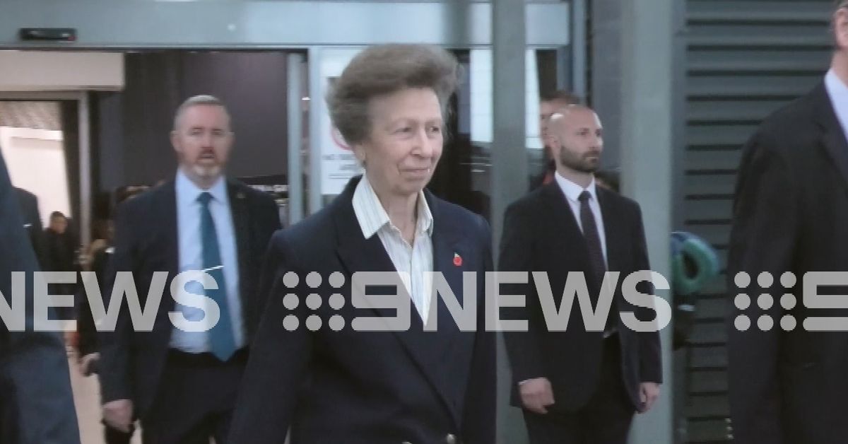 Princess Anne touches down in Sydney ahead of royal tour