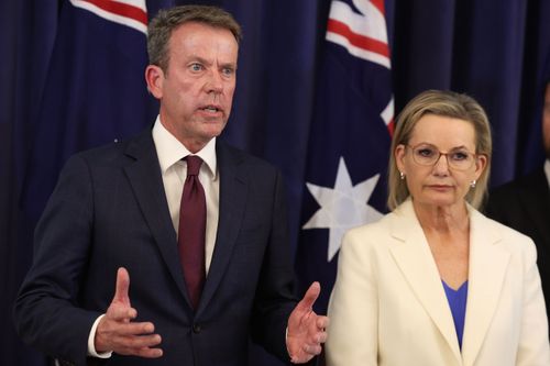 Shadow Minister for Health and Aged Care, and Shadow Minister for Sport, Senator Anne Ruston, Shadow Minister for Energy and Emissions Reduction Dan Tehan, Opposition leader Sussan Ley and Shadow Minister for Home Affairs Senator Jonathon Duniam at a press conference at Parliament House in Canberra on Thursday 13 November 2025. fedpol Photo: Alex Ellinghausen
