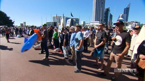 More than 150 surfers descended on state parliament today. (9NEWS)