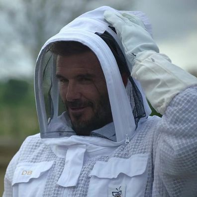 David Beckham monogrammed beekeeping suit