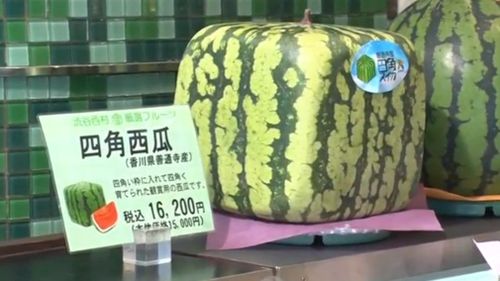 Square watermelon is the latest craze in Japan. (Reuters)