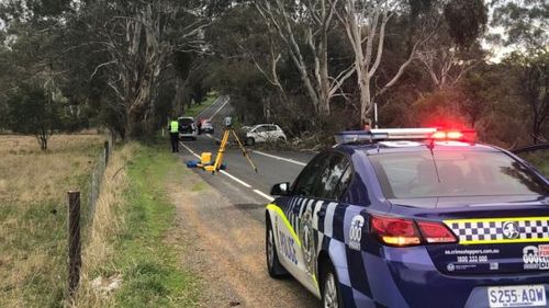 A 42-year-old died this morning when his car hit a tree. Image: 9News