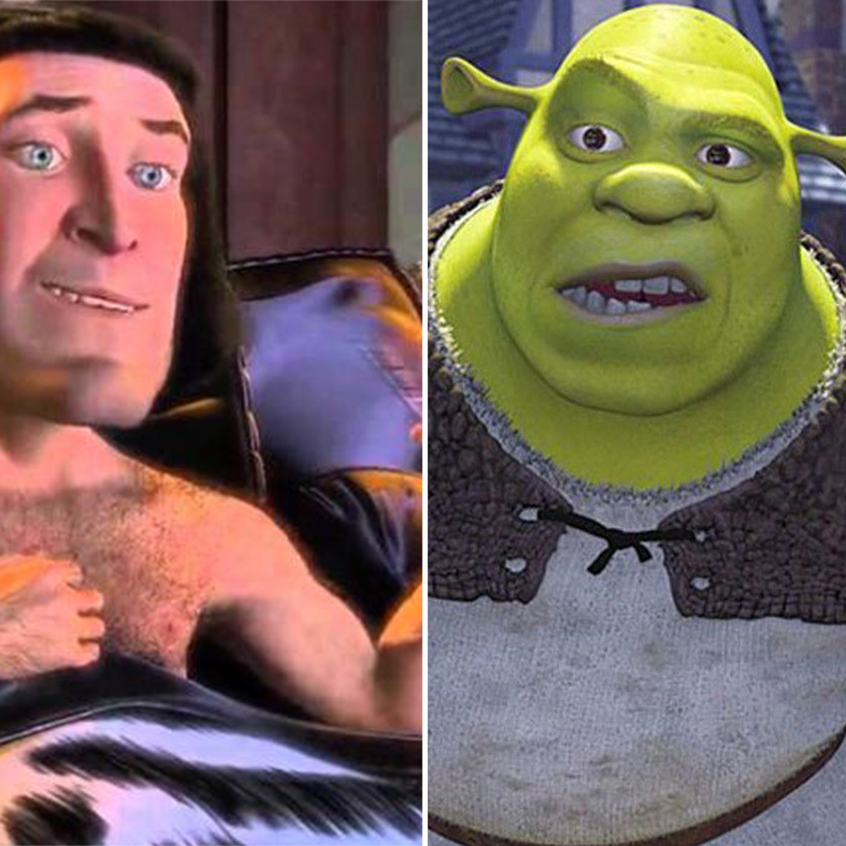 Shrek superfan spots X-rated detail in a scene from the animated movie -  9Celebrity