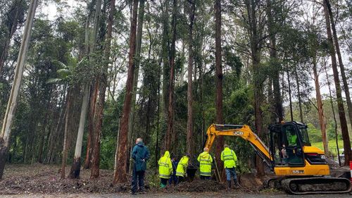 Police have been working relentlessly in the search for William Tyrrell.