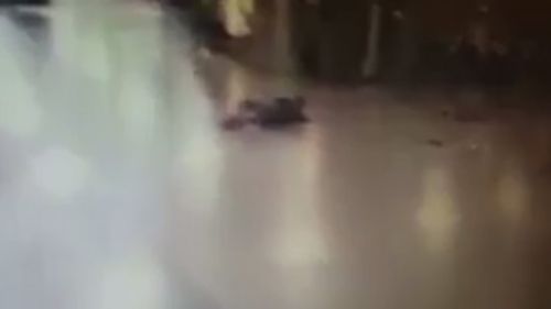 A still image taken from footage posted online purports to show one of the attackers on the ground after being shot by authorities, shortly before the explosives were detonated. 