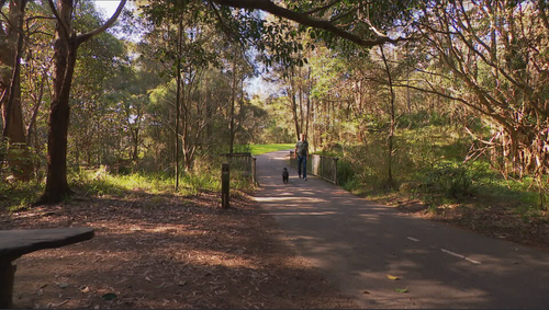 Flat Rock Gully walking trail at Willoughby