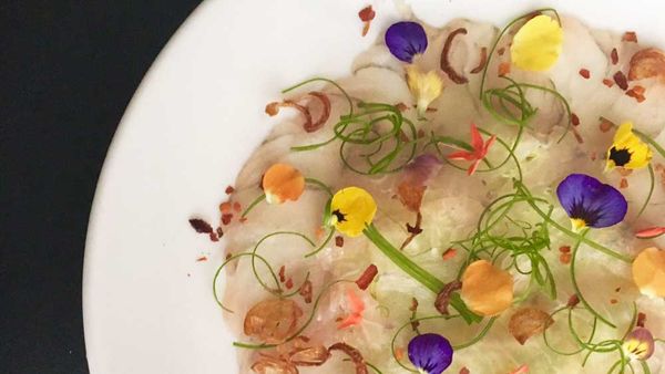 Willin Low's barramundi carpaccio with calamansi chilli dressing_thumb