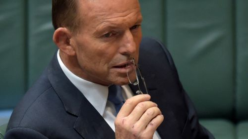 Abbott's popularity rises in home state of NSW: Newspoll