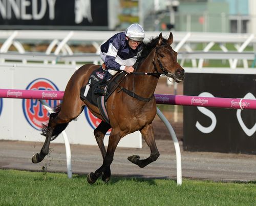 Almandin going through the motions at the Makybe Diva Stakes Day in Melbourne. (AAP)