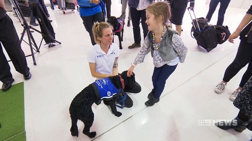 After a stint at the airport, the dogs will be placed permanently with people who need them.