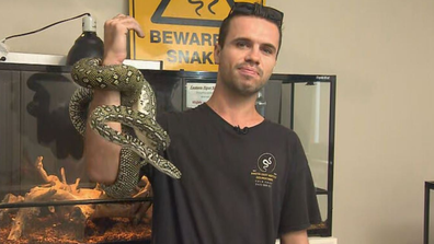 Mitch Thorburn - Southeast Queensland going through snake pandemic following recent storms and flooding