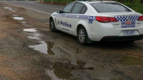 Police believe the shark may have been caught earlier today and dumped. (SA police)
