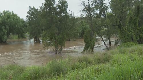 SES in Singleton, NSW monitor river levels