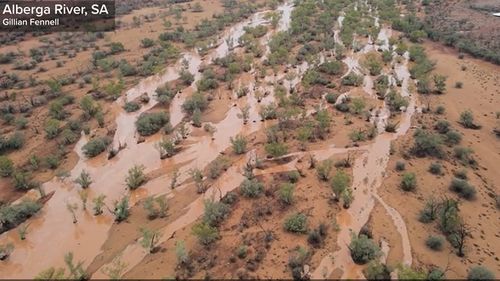 The river had been dry until heavy rain fell this week.