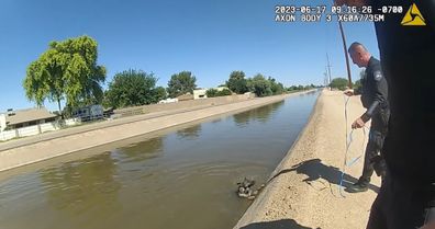 German Shepherd was stuck in the canal when Arizona police arrived to rescue. 