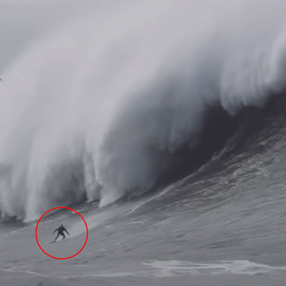 Surfing news 2024: Big wave surfer Sebastian Steudtner likely breaks  Guinness World Record in Portugal