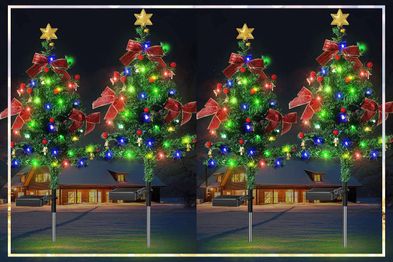 9PR: Solar powered Christmas trees.