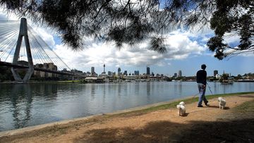 City of Sydney Council is reporting one sample of friable asbestos and several samples for bonded asbestos in mulch at Bicentennial Park, Glebe