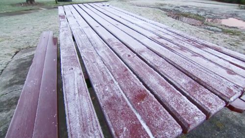 Frost in Stanthorpe. (9NEWS)