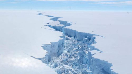 Larsen C, a trillion-tonne iceberg, has broken off the Antarctic shelf. (British Antarctic Survey)
