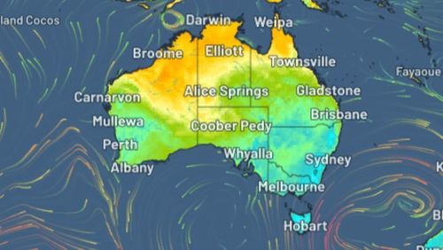 Victoria and Tasmania will bare ﻿the brunt of the cold, with New South Wales experiencing slightly higher temperatures than the more southern states.
