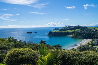 Little Palm Beach, Waiheke, New Zealand