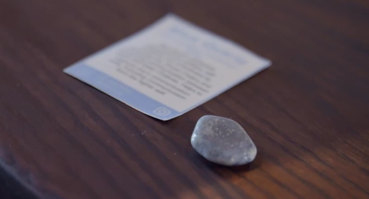 You've got your work cut out for you, lil guy! (Nine)