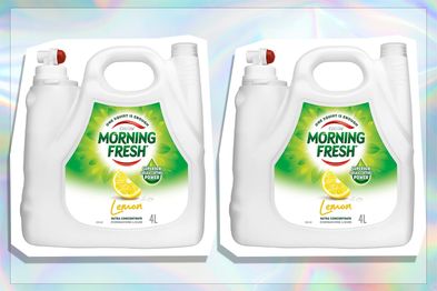 9PR: Morning Fresh Lemon Dishwashing Liquid, 4 Liters