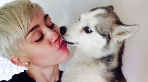 Miley sings to doll after pet's death