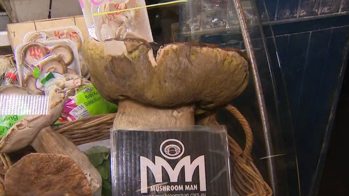 Fans coo over 'baby' two kilogram porcini mushroom sold at Adelaide market