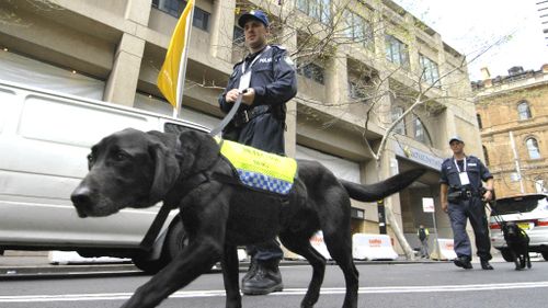 Doggone it: NSW Greens call to end sniffer dogs after data reveals huge amounts of false IDs