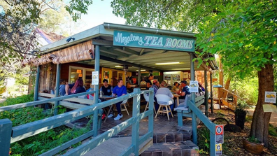 Megalong valley tea rooms