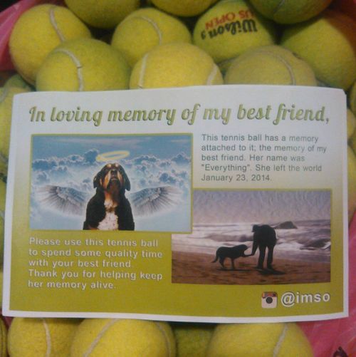 Man sends tennis balls to dog owners in honour of his late pup