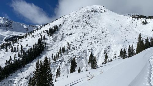 Three backcountry skiers missing after large avalanche in US