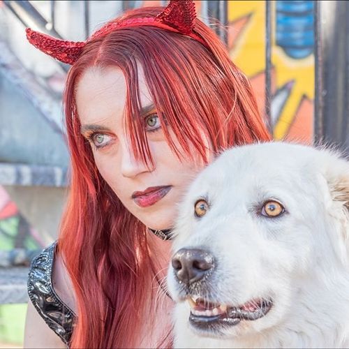 Nova abelha descoberta em WA