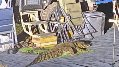 A Darwin camper wakes up to find a large alligator on his doorstep