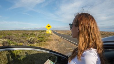 Young woman in a car on the roadside reads a road map. Kangaroo warning sign ahead.