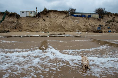 A dog runs along Hemsby beach in front of two houses that have been evacuated after high winds and waves eroded the dunes on which they sit on March 18, 2018 in Norfolk, England. Ten sea front properties have been evacuated after severe weather rapidly eroded the cliff edges in the village of Hemsby. (Photo by Chris J Ratcliffe/Getty Images)