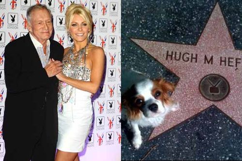 Back in 2011, Hugh Hefner was not only the jilted groom by Crystal Harris but a few months later she also launched a battle to win ownership of their Cavalier Kings Charles Spaniel Charlie. This was despite saying Hefner could originally keep it. Bizarrely, the couple soon got back together and all was forgotten.