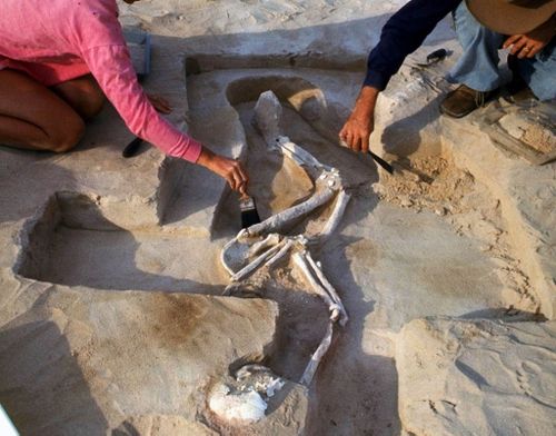 Mungo Man home to original resting place