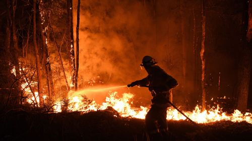 NSW RFS fire fighters work through the night to prevent a flare up from crossing the Kings Highway in between Nelligen and Batemans Bay on January 2.