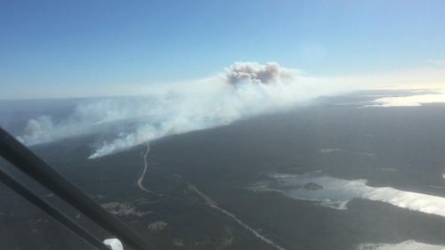 The Lone Pine fire crossed the Pacific Highway. (Twitter / @NSWRFS)